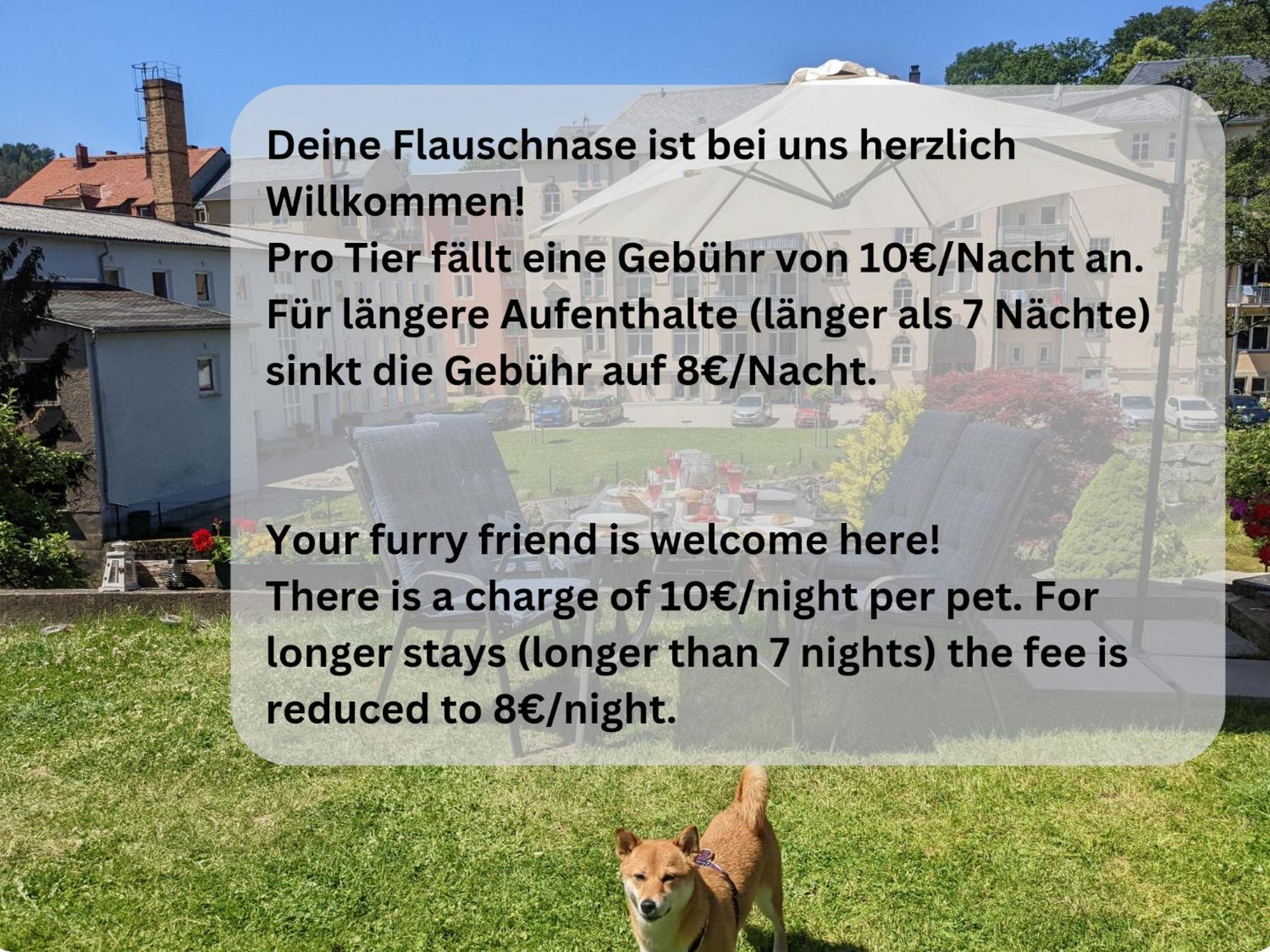 Hw2 - Urlaubsmagie - Sauna & Whirlpool Fuer Alle Sebnitz Esterno foto